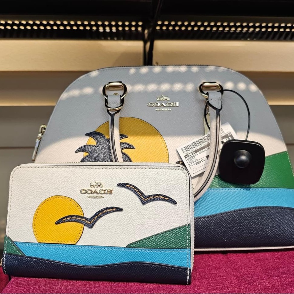 SALE 🔥 Rare Coach Purse & Matching Wallet 🔥